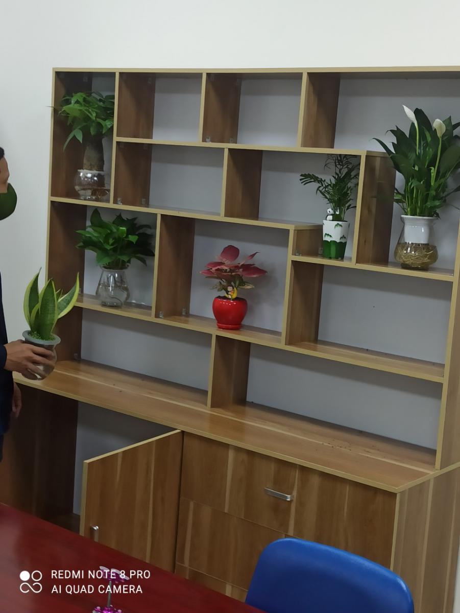 Kệ Trưng Bày Gõ Công Nghiệp Mẫu 01 Hải Phòng